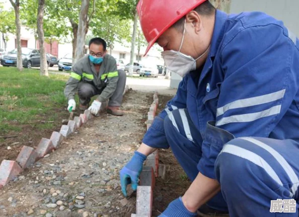 阴阳师游戏攻略：蝴蝶精分布地点大全及悬赏封印高效完成技巧