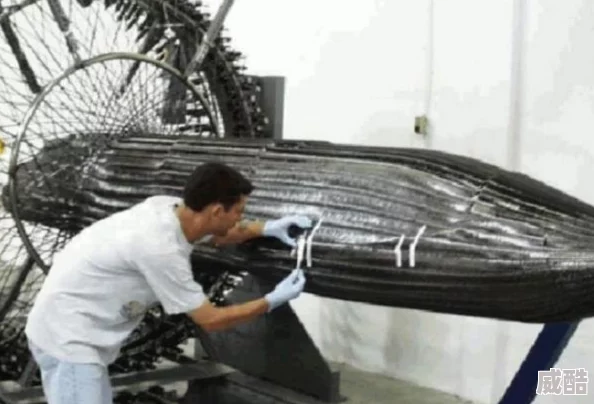 《终结者2》中T800与T1000共同具备的超凡能力与特性解析