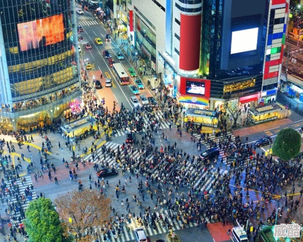 亚洲日本人成网站在线观看东京新开主题公园引爆网络热议